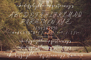 Damione - Handwritten Signature, a Handwritten Font by tebaltipislab (Thumbnail 5 of 10)