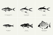 Fish Illustrations, an Object Graphic by Nomad Visuals (Thumbnail 7 of 11)