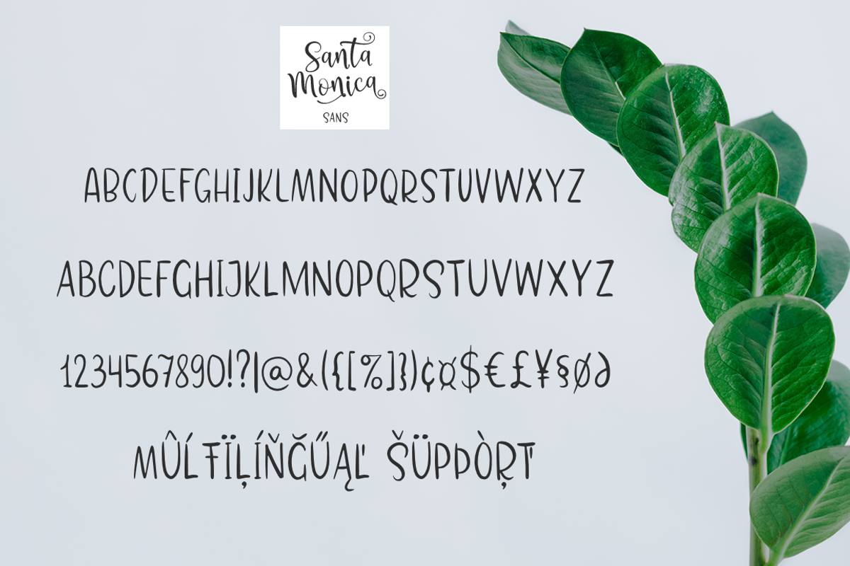 Santa Monica, a Script Font by Larin Type Co. (Photo 9 of 9)