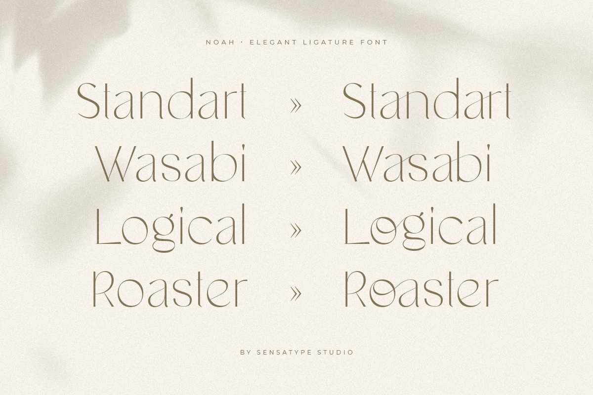 Noah - Elegant Ligature Font, a Serif Font by Sensatype (Photo 9 of 19)