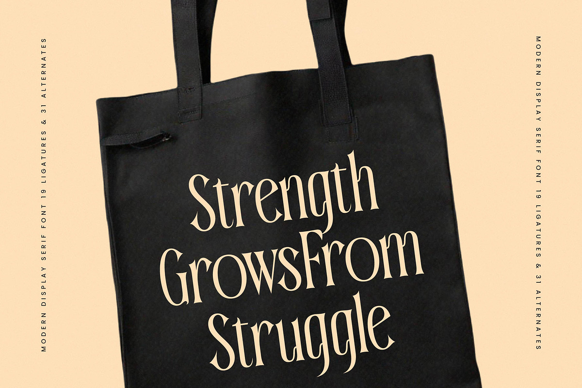 Garugis Modern Display Serif, a Serif Font by timelesstype.co (Photo 11 of 20)