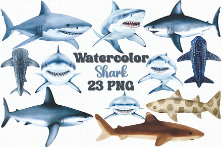 Watercolor Shark Clipart Set