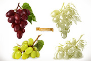 Red wine, dessert wine, vector icons, an Icon by Allevinatis Studio (Thumbnail 3 of 6)