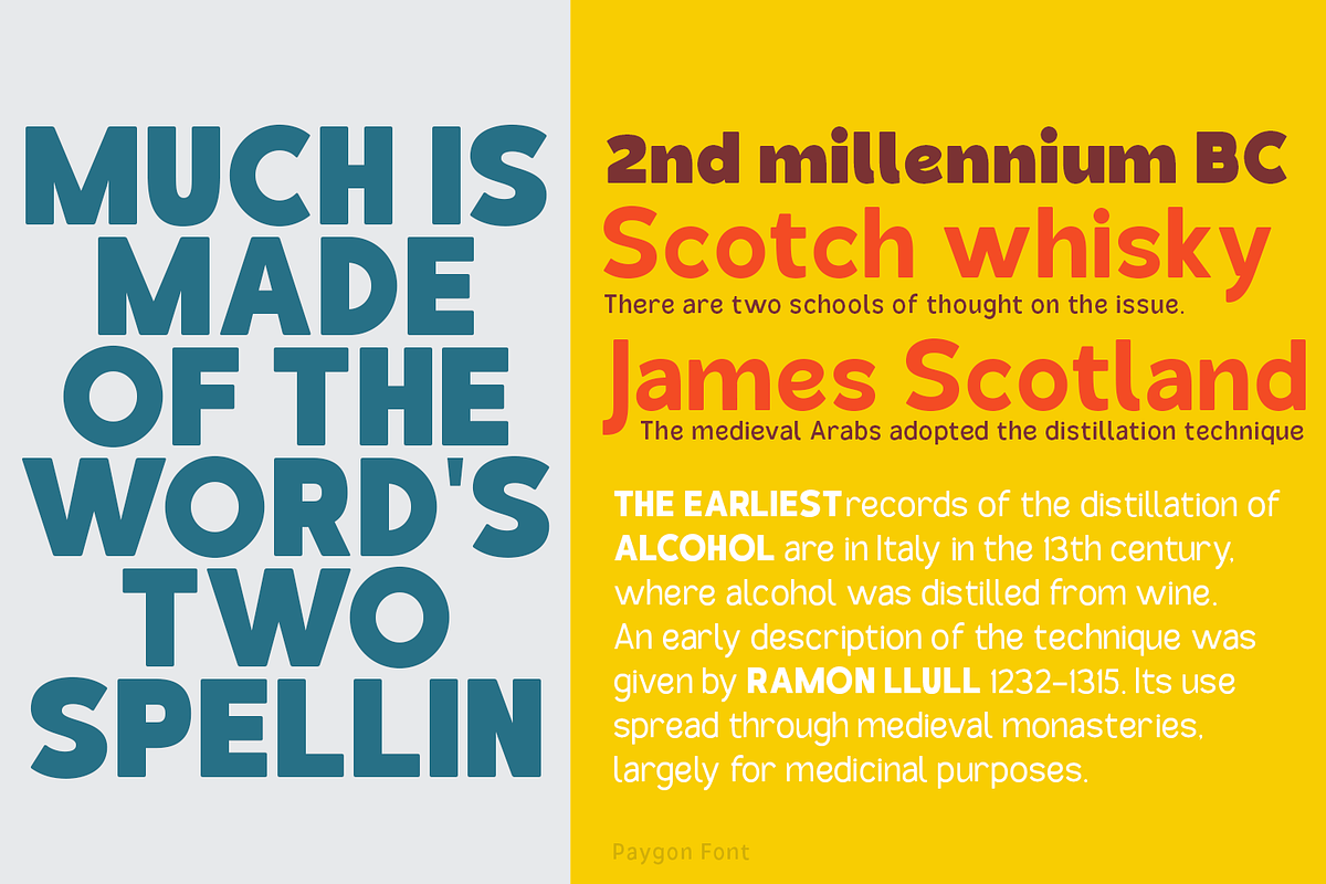 Paygon Sans Family, a Sans Serif Font by TypeClassHeroes (Photo 12 of 15)