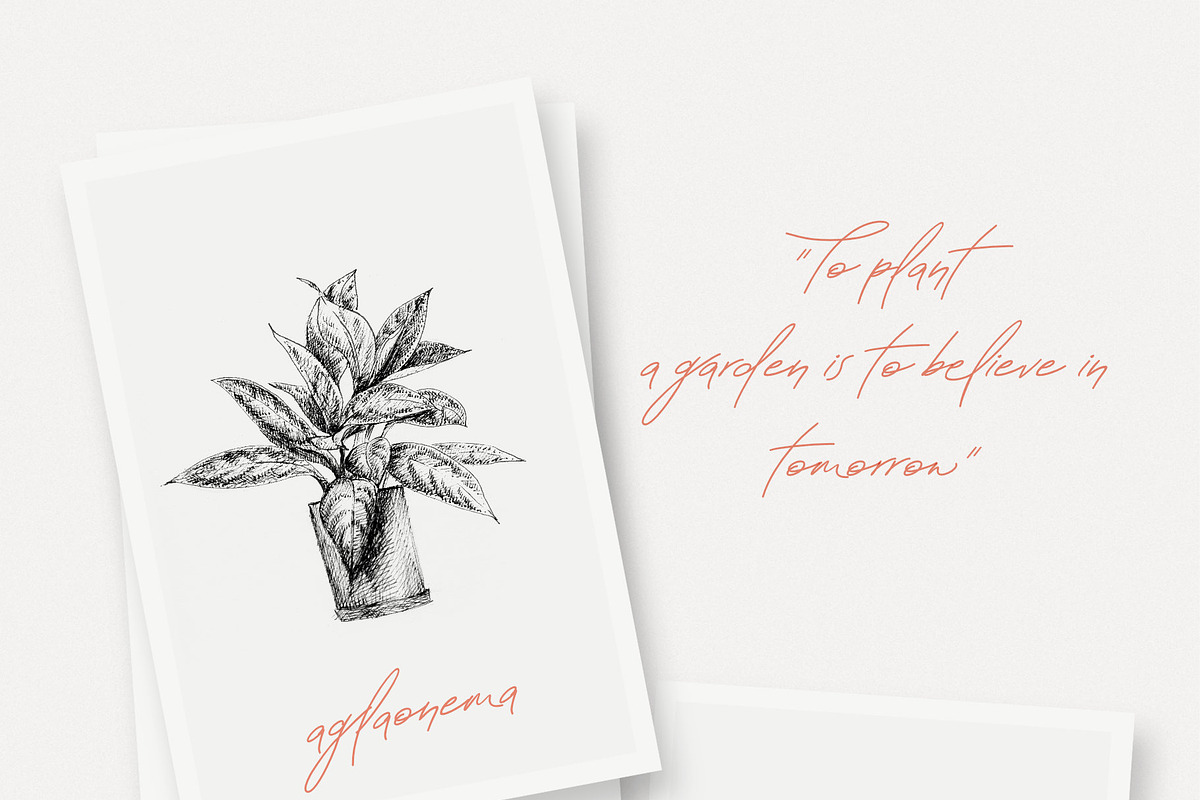 Greek Font Talonica, a Script Font by Greek fonts by nantia.co (Photo 4 of 17)