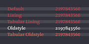 Legit Serif, a Serif Font by Finaltype (Thumbnail 7 of 11)