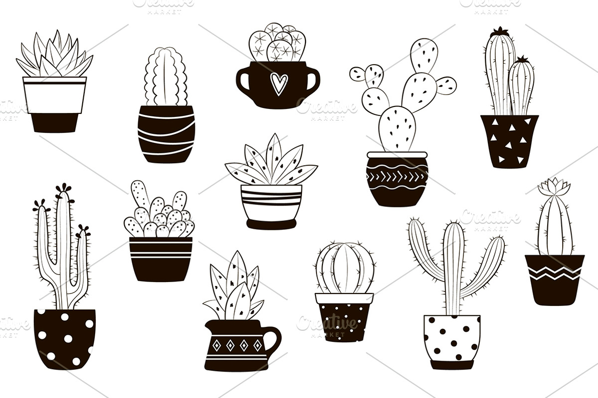 Cactus, a Decorative Illustration by Paper Cards (Photo 2 of 4)