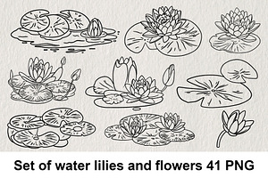 Set of water lilies and flowers PNG, a Decorative Illustration by LOKSKIH