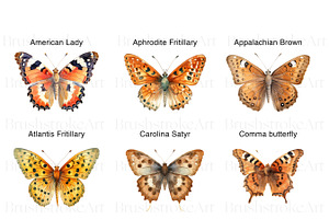 Watercolor Butterfly Species Clipart