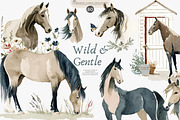 horse clipart horse illustration set, an Illustration by Patishop Art (Thumbnail 1 of 10)