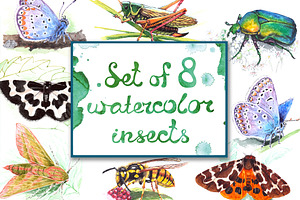 Set Of Watercolor Insects