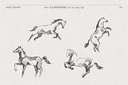 Galloping Horse Sketch, an Animal Illustration by TheMountBirdStudio (Thumbnail 5 of 6)