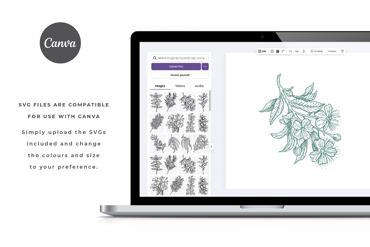 Australian Botanicals 4 in 1 Bundle, a Decorative Illustration by rouxsupplyco (Photo 12 of 25)