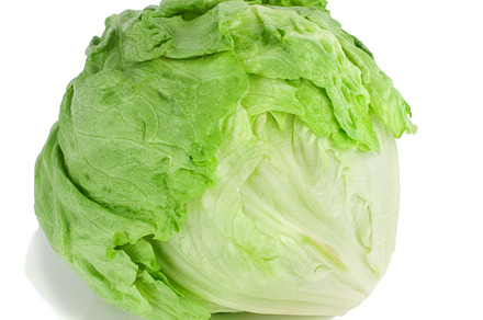 Iceberg lettuce featuring background, close, and color