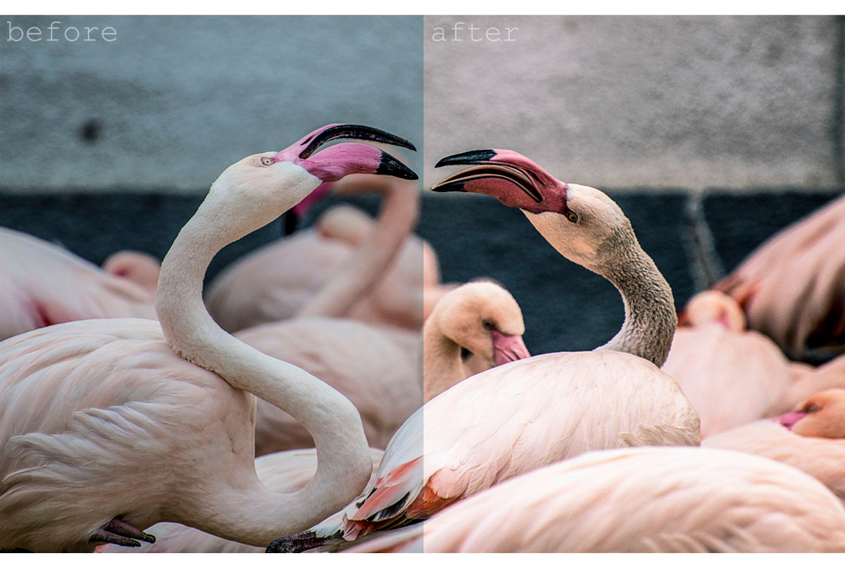 Modern quiet Lightroom preset, an Action Add-On by OceanChild (Photo 12 of 13)