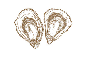 Oyster, seafood. Vintage retro print, a Food Illustration by Foxys Graphic