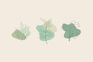Minimalist Plants - Illustrations, an Illustration by naima.design