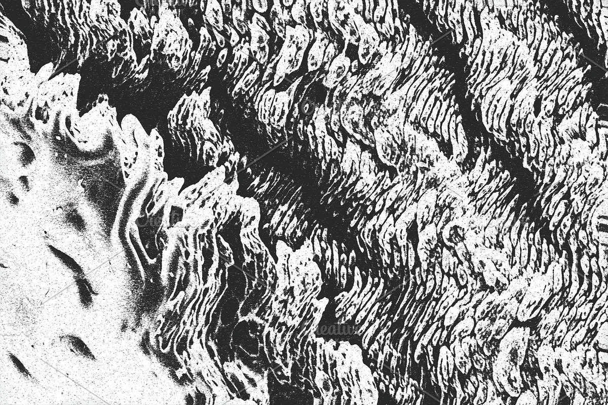 Filament, a Texture Graphic by Jennifer Lauren Creative (Photo 2 of 16)