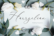 Gladioss Feather Luxury Script Font, a Script Font by Storytype Studio (Thumbnail 9 of 15)