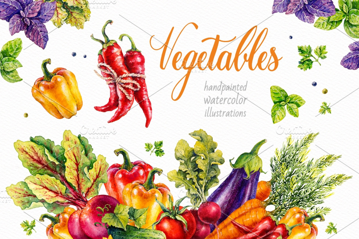 Vegetables. Watercolor, a Decorative Illustration by Ekaterina Mikheeva (Photo 1 of 8)