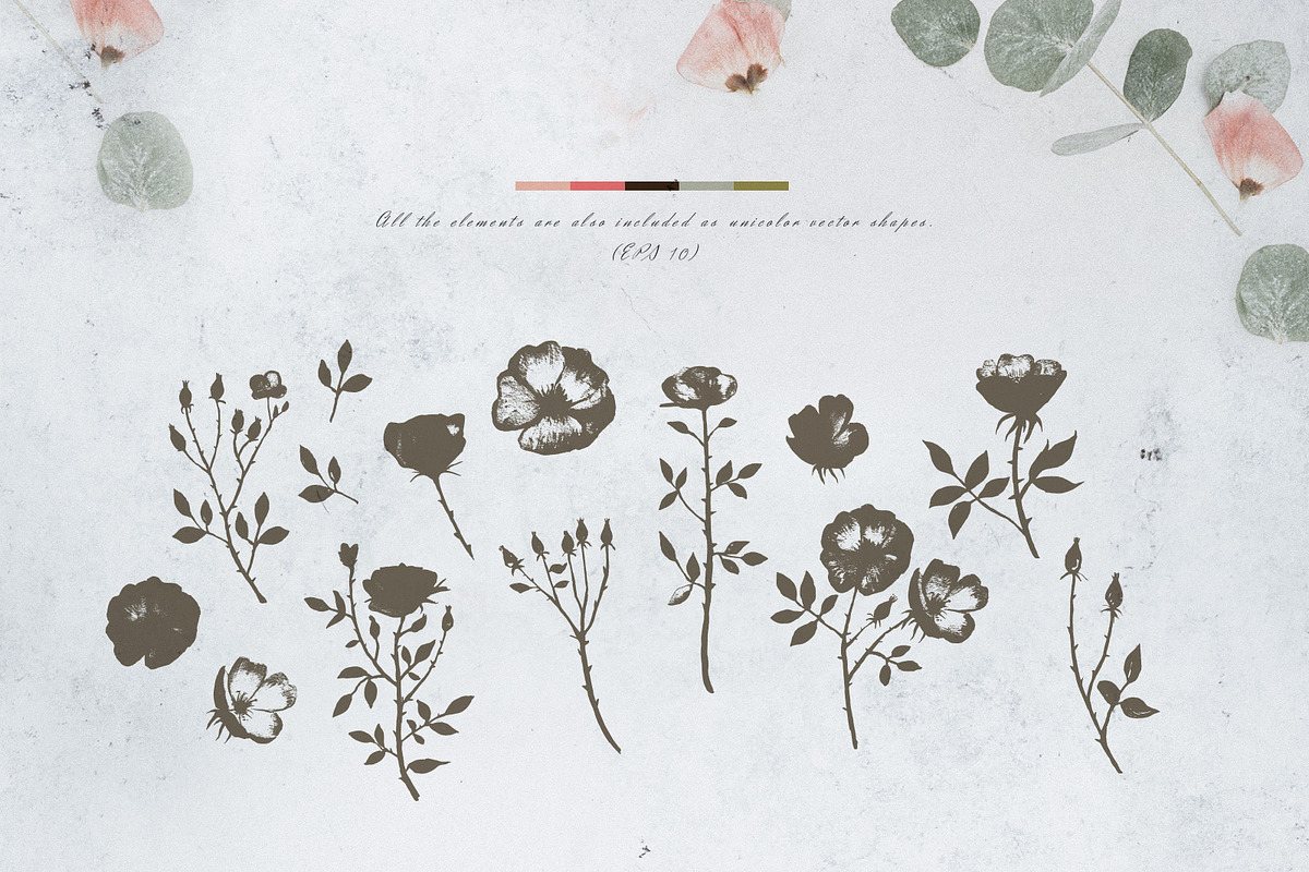 Autumn Rose Watercolor Set, a Decorative Illustration by Bibela (Photo 6 of 11)