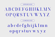 The Cisrun - Modern Luxury Serif, a Serif Font by AnnofaType (Thumbnail 4 of 8)