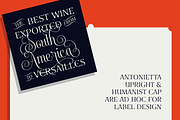 Antonietta, a Font by Latinotype (Thumbnail 3 of 18)