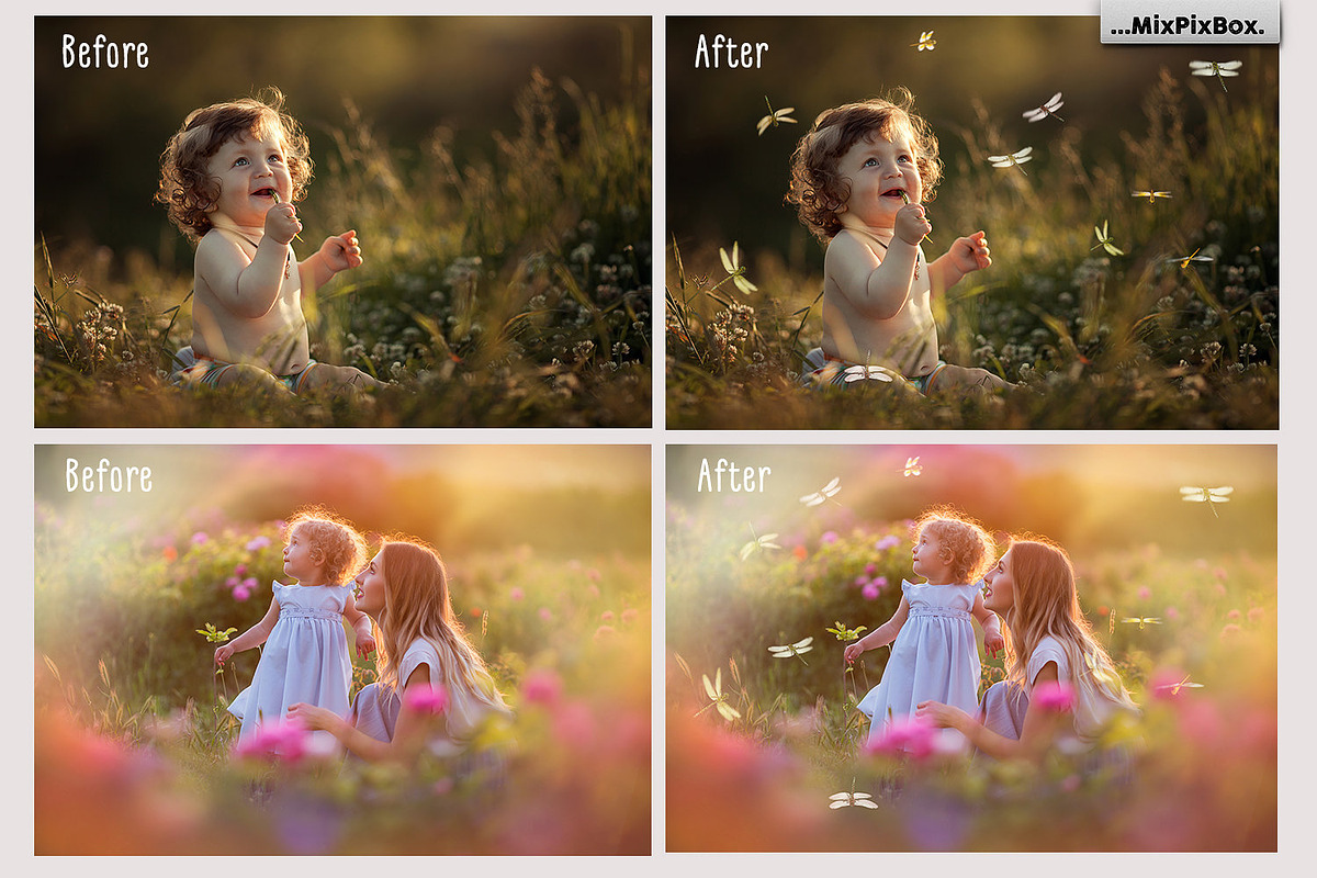 Dragonfly Photo Overlays preview 7