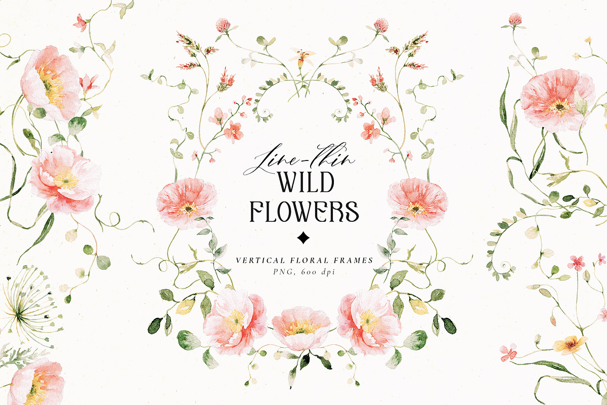 Line-thin watercolor wildflowers, a Decorative Illustration by Pamyatka Shop (Photo 3 of 16)