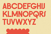FlyBridge - Bold Ligature Rich Sans, a Sans Serif Font by SilverStag Type Foundry (Thumbnail 25 of 30)