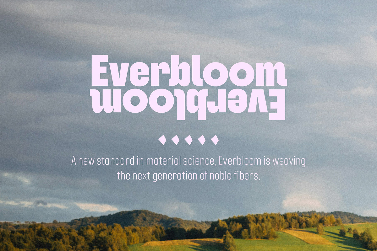 YNF Dustin | Condensed sans serif, a Sans Serif Font by YNF (Photo 8 of 26)