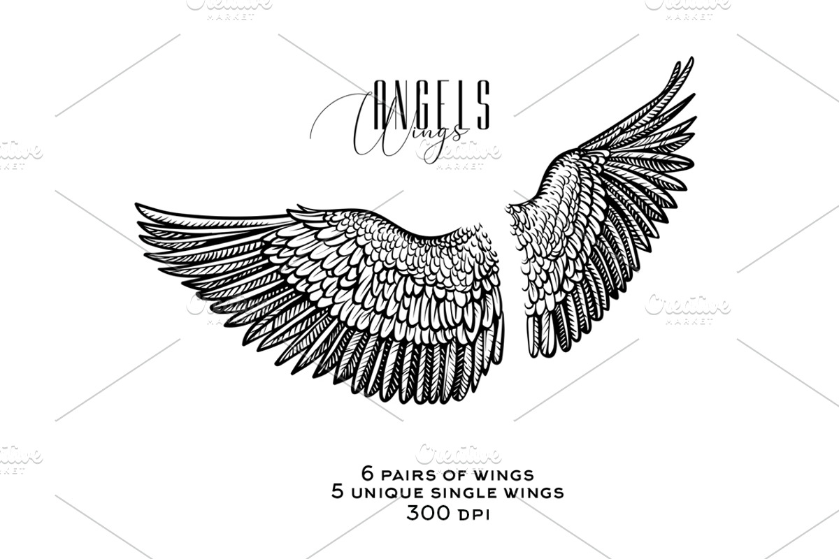 Vector Wings, an Object Graphic by Aquatinta (Photo 4 of 4)