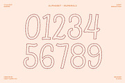 CS Alicent Dashed, a Script Font by Craft Supply Co. (Thumbnail 6 of 8)
