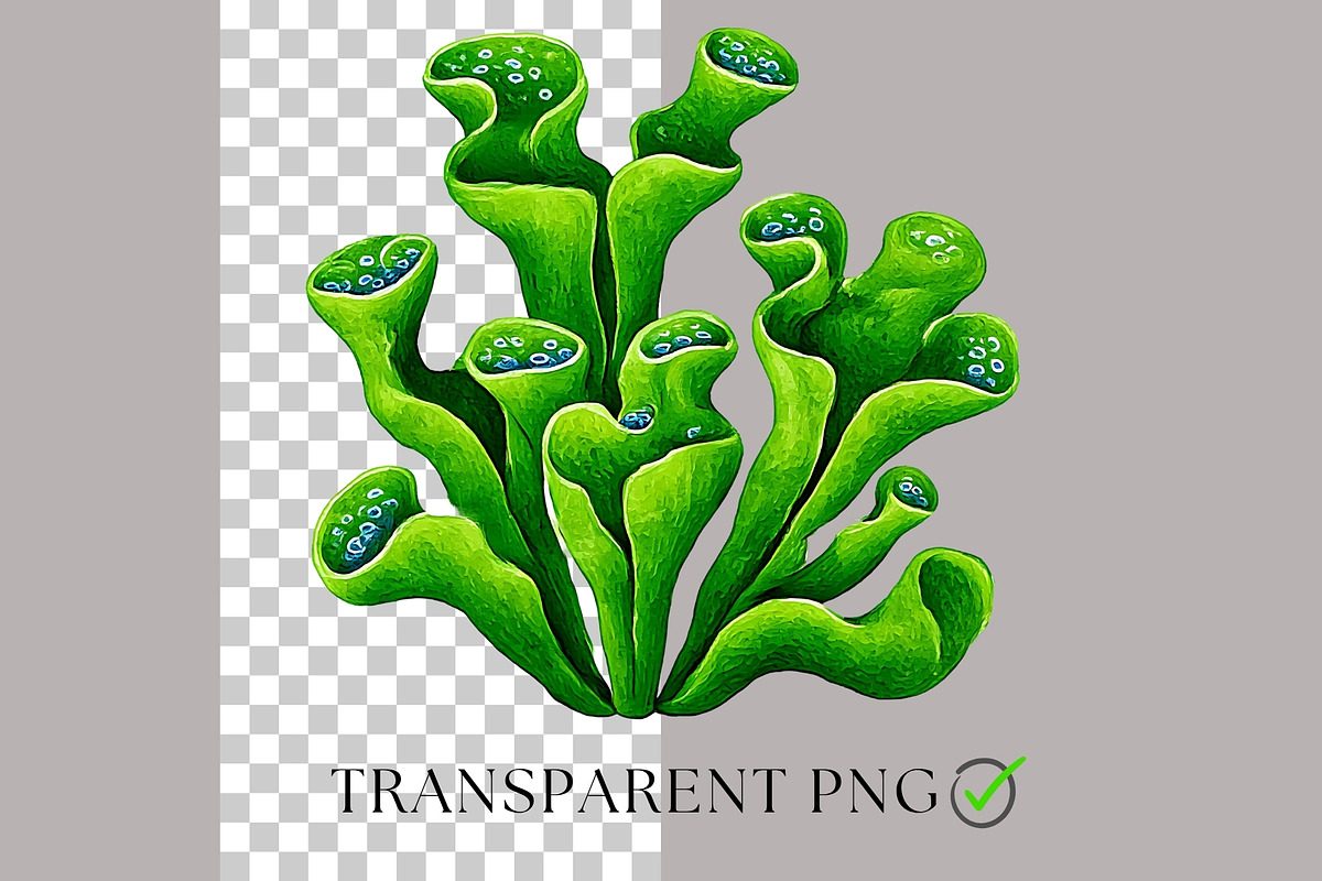 Sea Toile Clipart and Patterns, a Decorative Illustration by Nicole Branger Art (Photo 5 of 28)