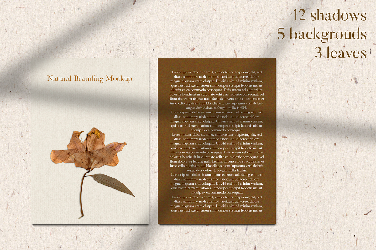 Natural Stationery & Branding Mockup, a Product Mockup by Tropical Type (Photo 3 of 5)