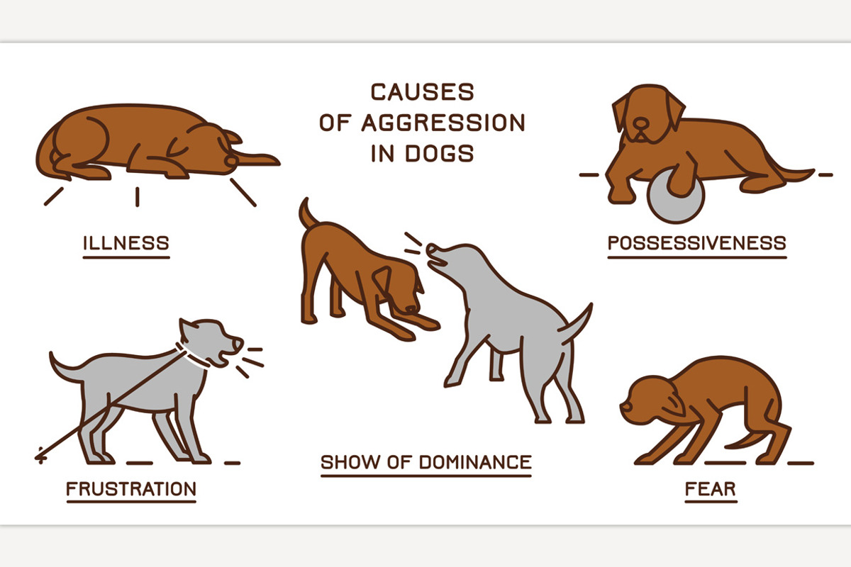 Dog Behavior Poster, an Outline Icon by Anna's Shop | Creative Market