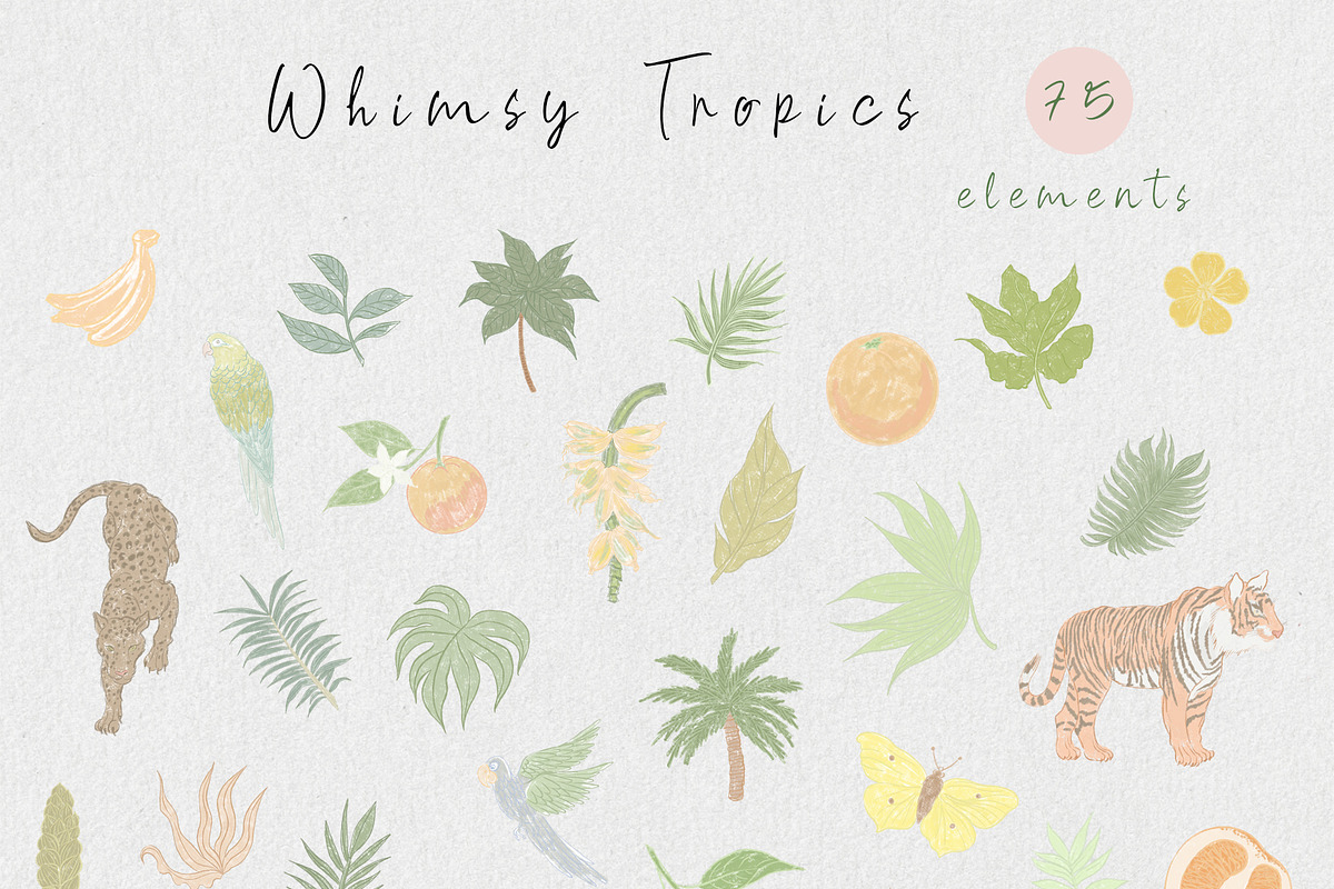Solana tropical whimsy clipart, an Object Graphic by mila_leev (Photo 2 of 10)