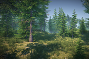 Nature Package, an Environmental 3D Model by SilverTM (Thumbnail 7 of 21)
