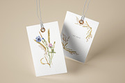 Watercolor Wheat & Field Flora, a Decorative Illustration by MayaNavits (Thumbnail 4 of 13)