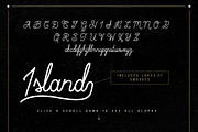 Alehouse Combo Font, a Sans Serif Font by Vintage Type Company (Thumbnail 4 of 7)
