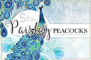 Paisley Peacocks Pack, an Illustration by Dana Designs (Thumbnail 1 of 5)