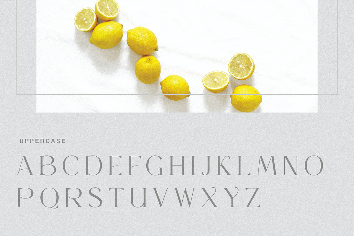 Rottaries - Modern Unique Typeface, a Serif Font by BrandSemut (Photo 6 of 10)
