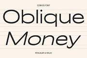 Cenios - Expanded Sans Serif, a Sans Serif Font by Craft Supply Co. (Thumbnail 3 of 8)
