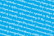 Sunshine, a Handwritten Font by Goresan Studio (Thumbnail 13 of 15)