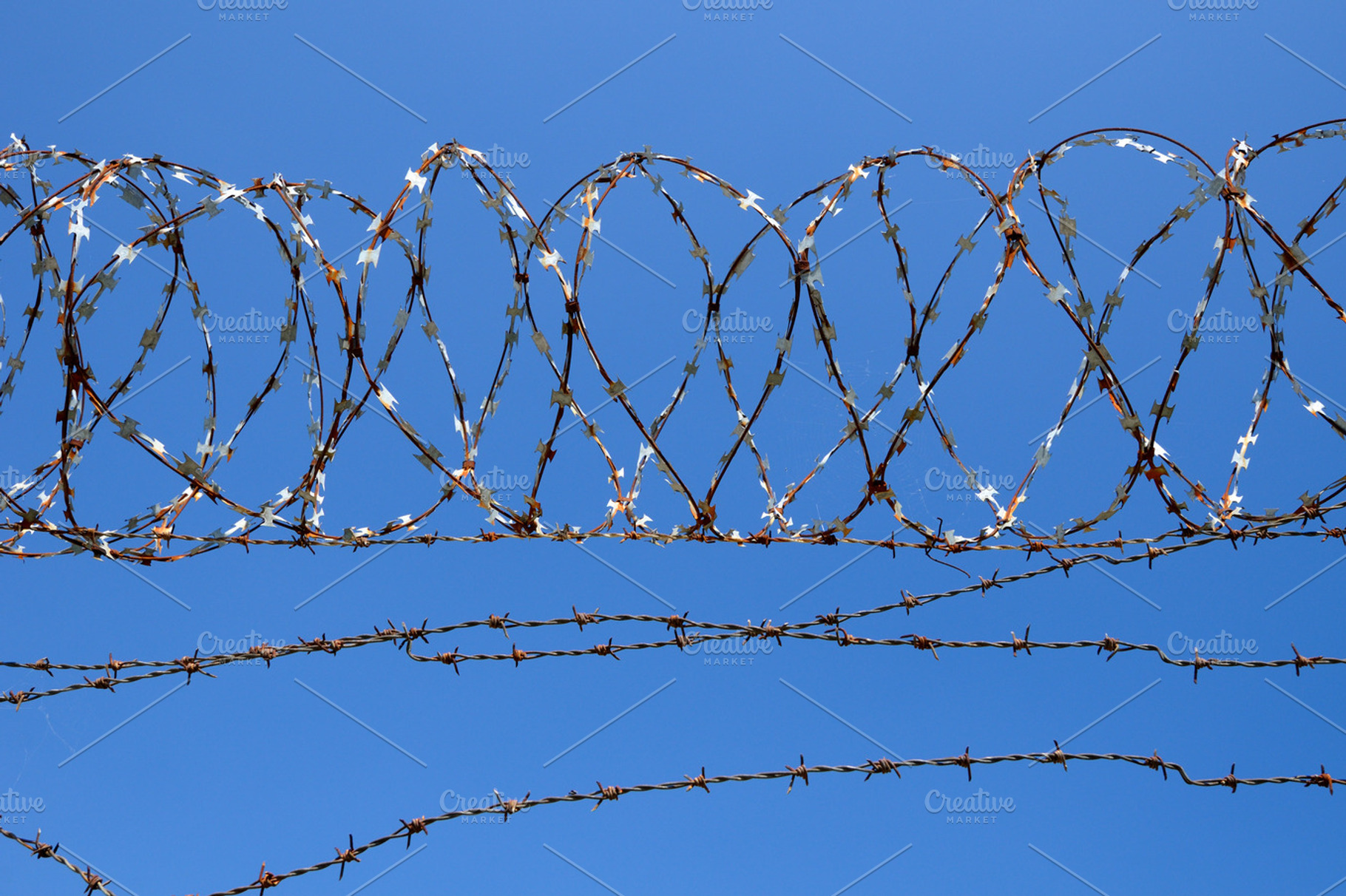 Barbed wire containing wire, barbed, and barbwire