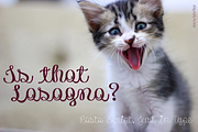 Pasta Script, a Script Font by Just in Type (Thumbnail 2 of 7)