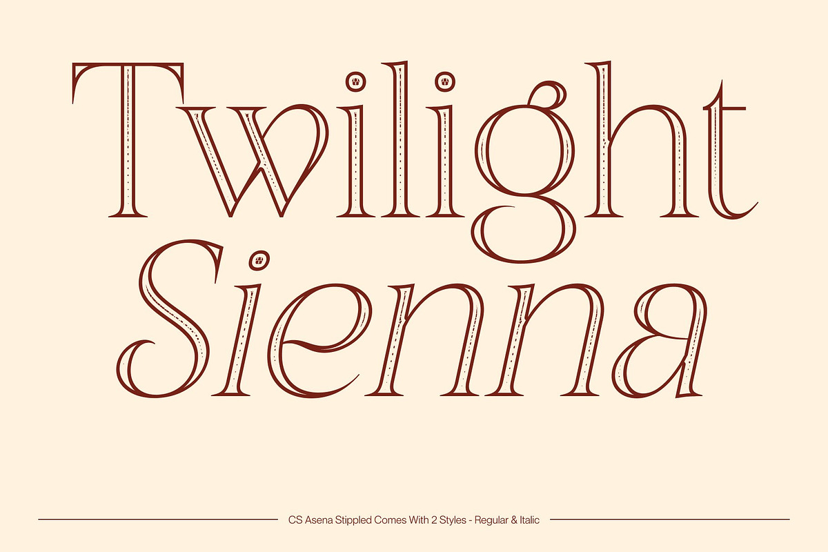CS Asena Stippled, a Serif Font by Craft Supply Co. (Photo 3 of 8)