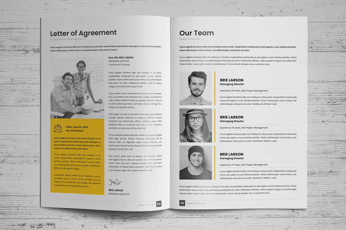 Project Business Proposal v6, a Brochure Template by Miyaji75 (Photo 3 of 18)