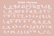 Neastone, a Serif Font by Sealoung (Thumbnail 15 of 18)
