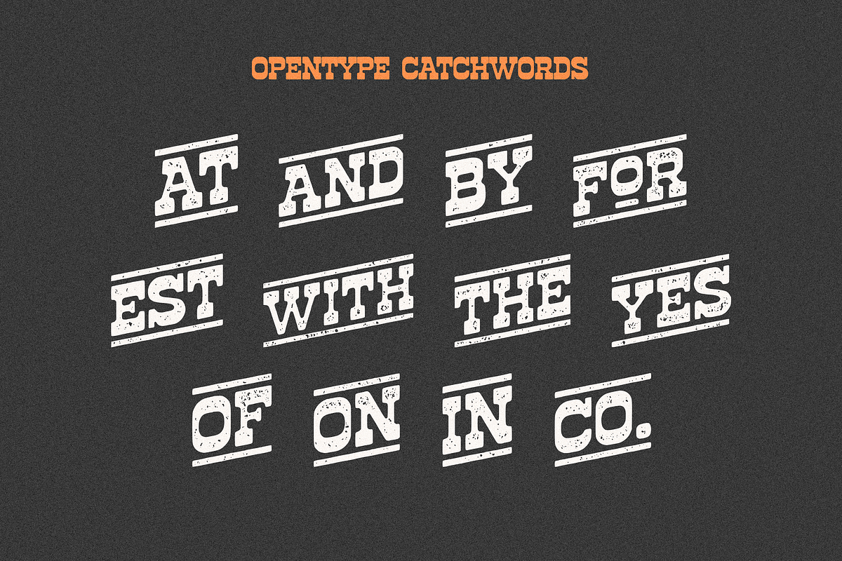 HF Lonehope Western Slab Serif, a Serif Font by 24Design Studios (Photo 7 of 7)